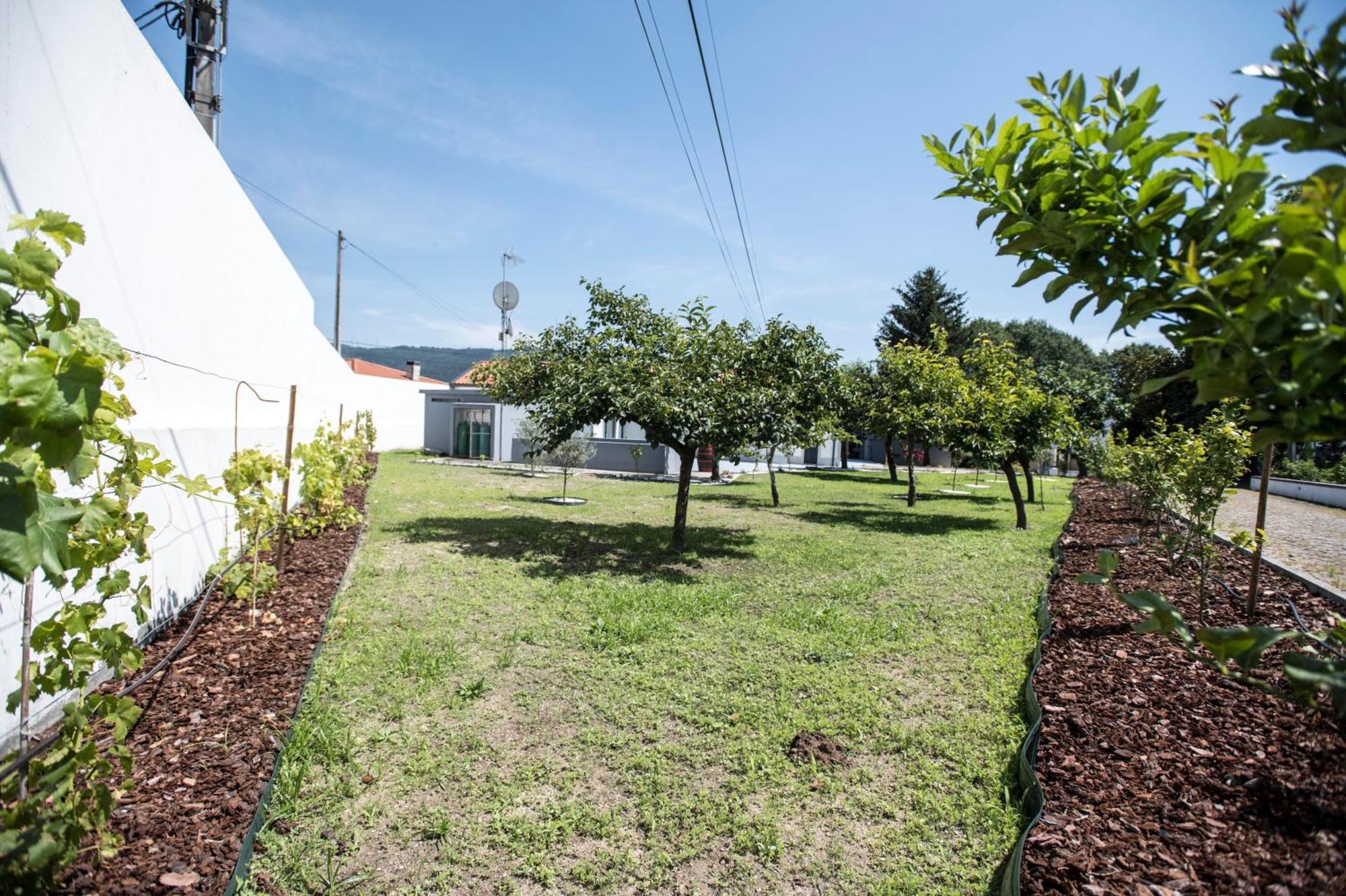 Villa Quinta Do Pomar Pomar Farm Briteiros Exterior foto